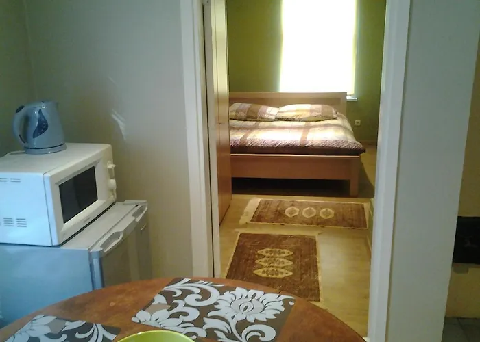 Jaani 2-1 Guest house 4*