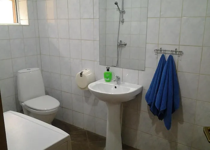 Jaani 2-1 Guest house 4*