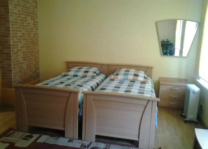 Jaani 2-1 Guest house 4*